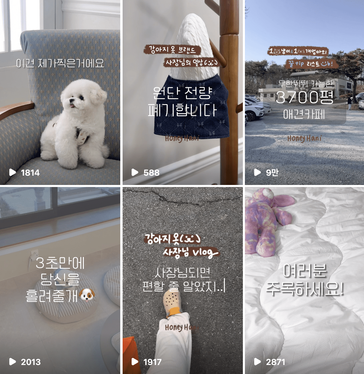 직접 허니하니님 자신을 드러낸 콘텐츠