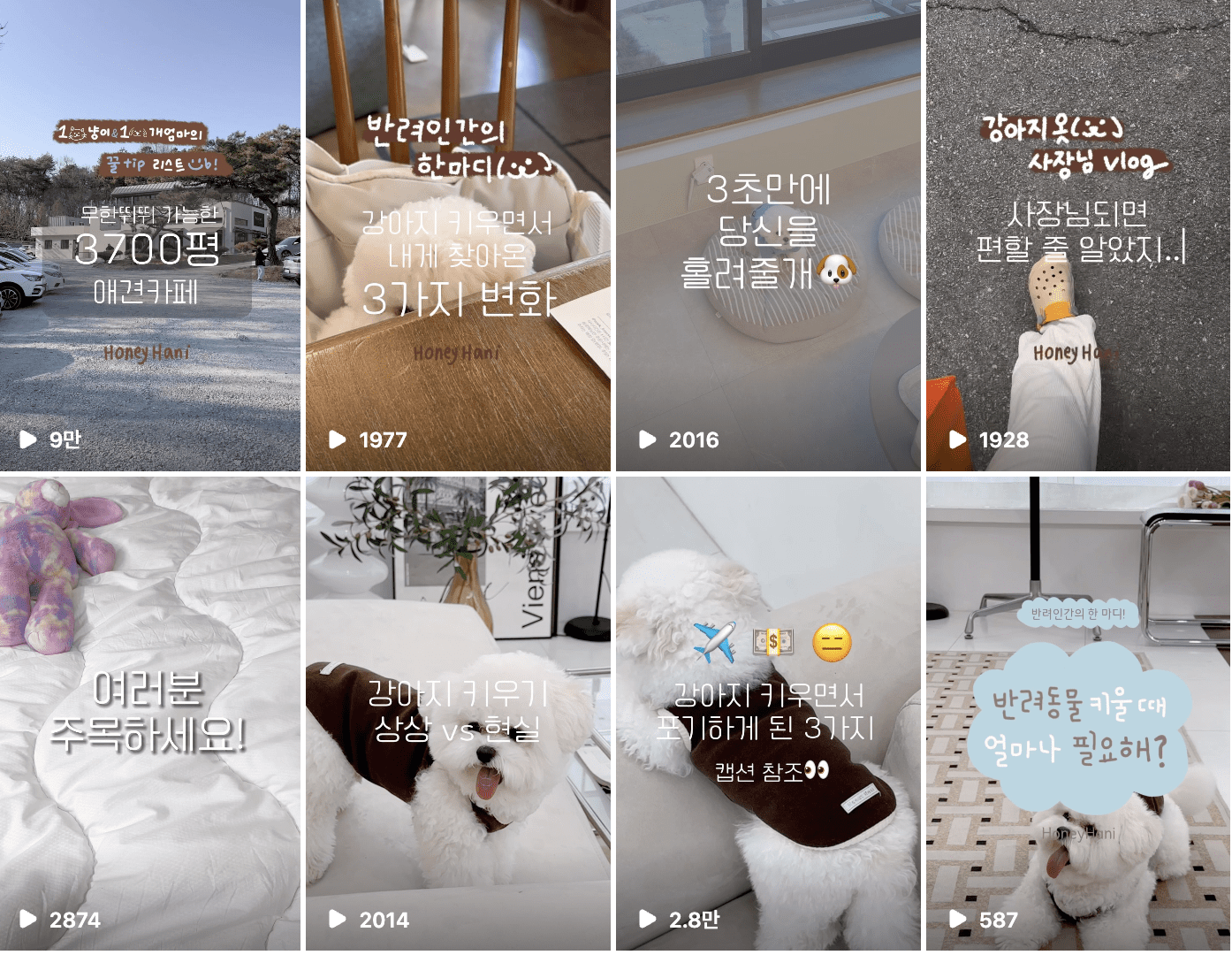 스몰브랜드 마케팅 전략 - 반려견 의류브랜드 허니하니