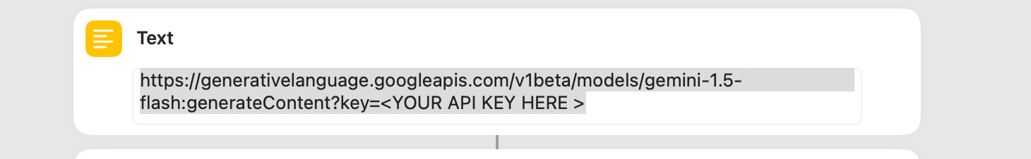 API Key Input