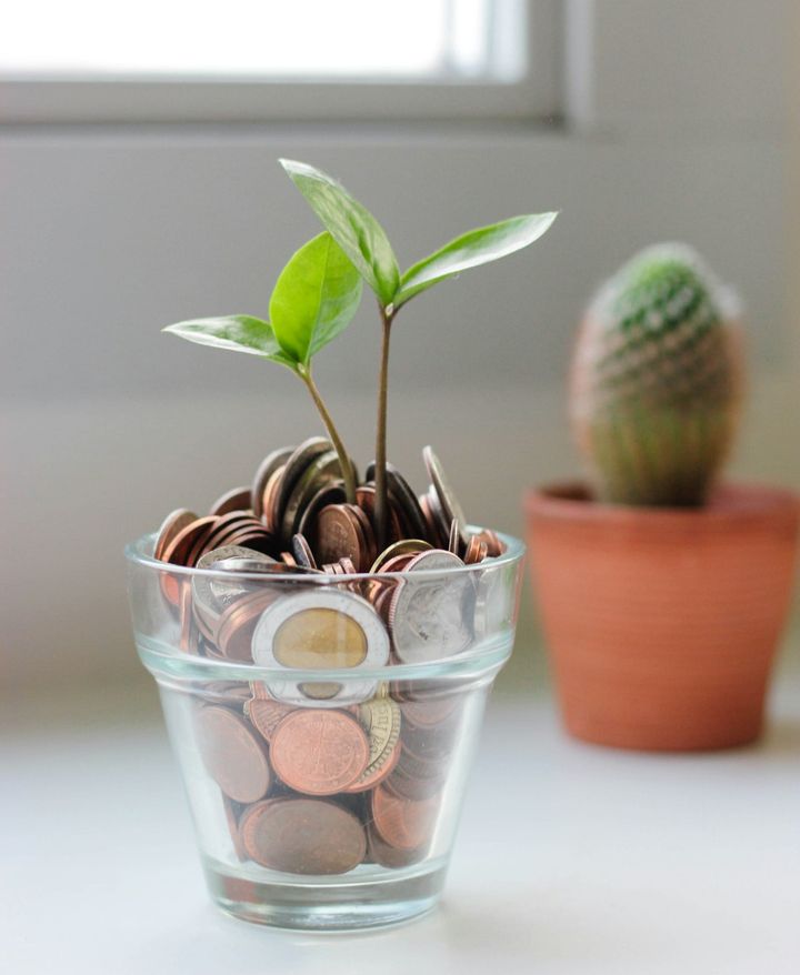 Reap What You Sow