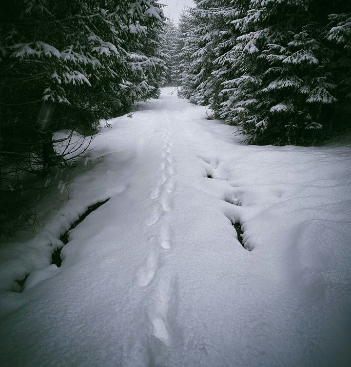 The Only Way Is Through