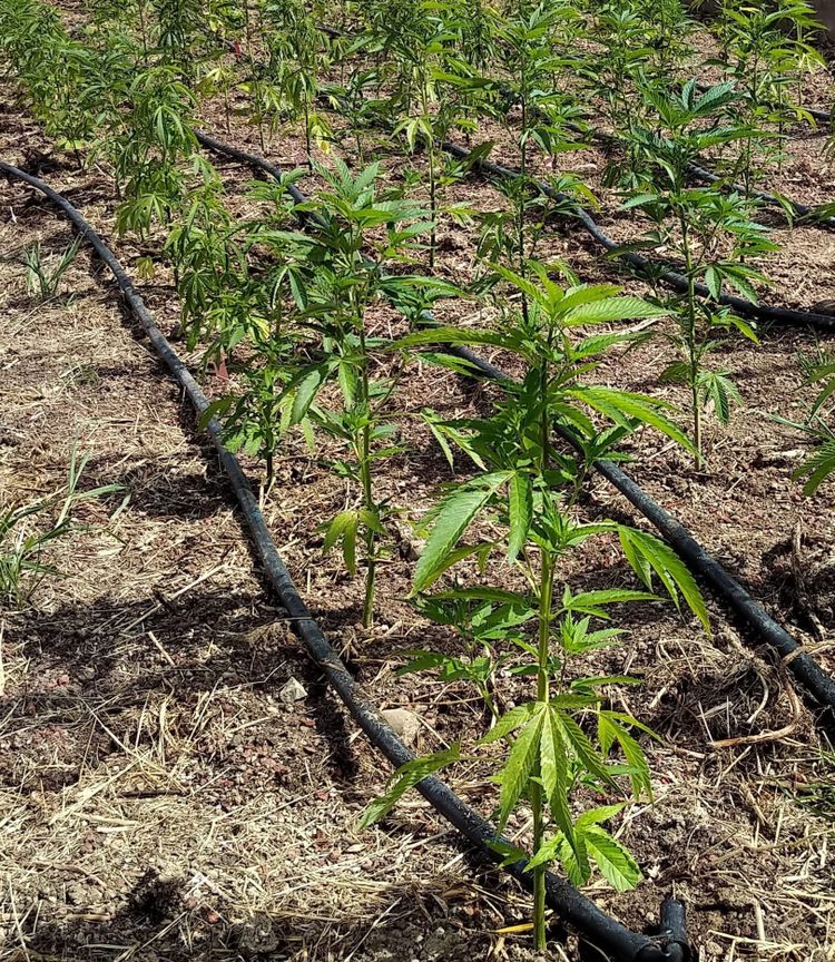 From Unproductive to Invaluable