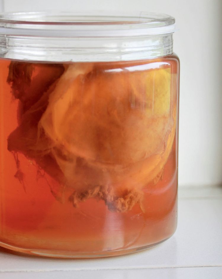 Cannabis in Kombucha?