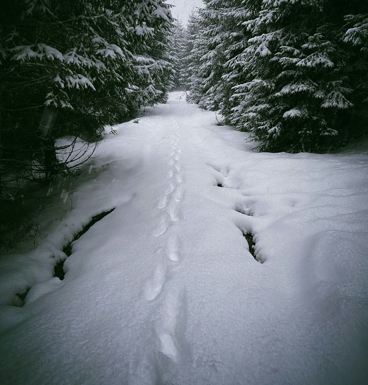 The Only Way Is Through