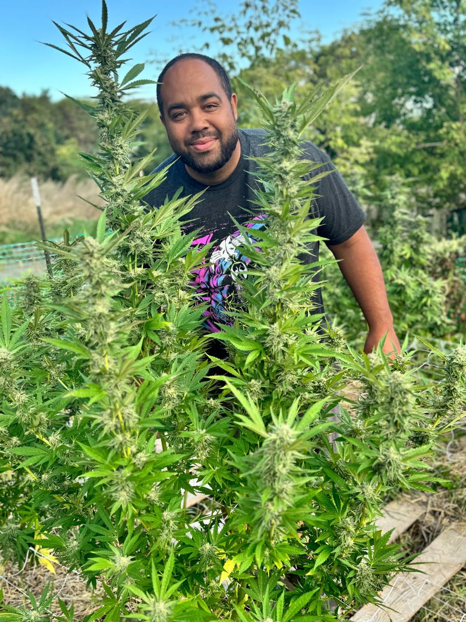 From Dysbiosis to Symbiosis