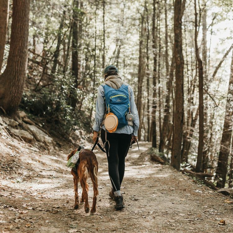 A woman and a dog walk on a dirt trail through thick woods. 