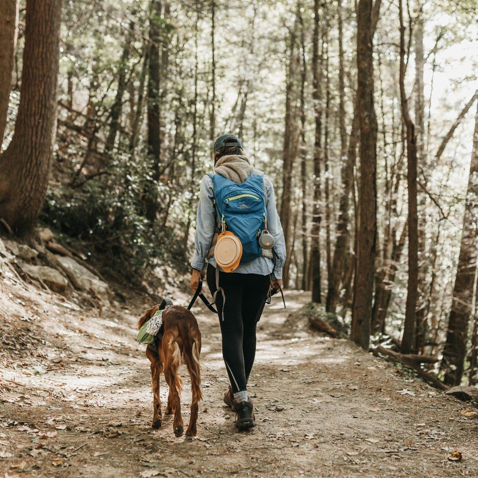 A woman and a dog walk on a dirt trail through thick woods. 
