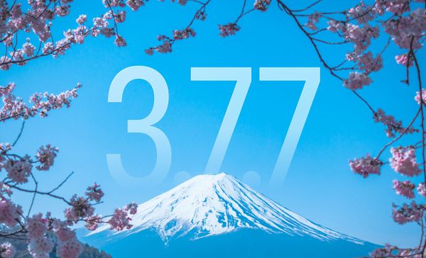 Tripsy 3.7.7