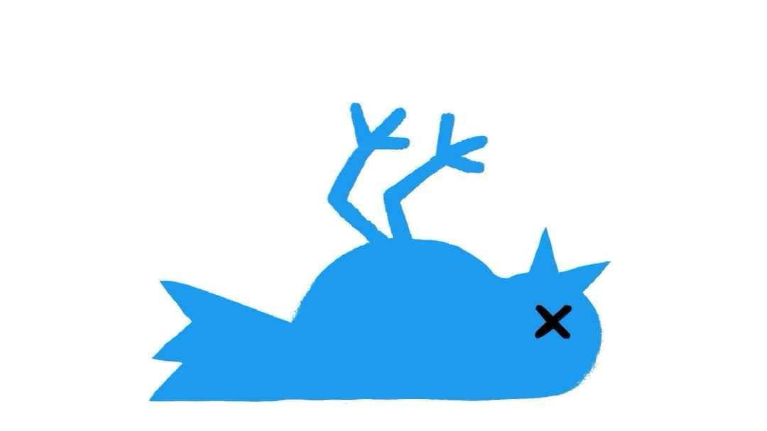 Kill the Bird: A Modest Proposal to Save Civilization from the Pecking Order of Stupidity