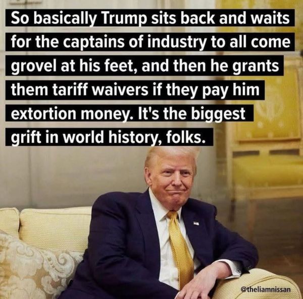 The Trumpacolypse Chronicles: 2025’s Greatest Hits (So Far)