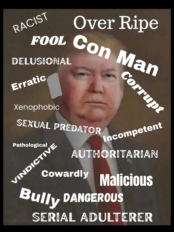 Congratulations—If you  Missed the Trump Show (And Saved Brain Cells)
