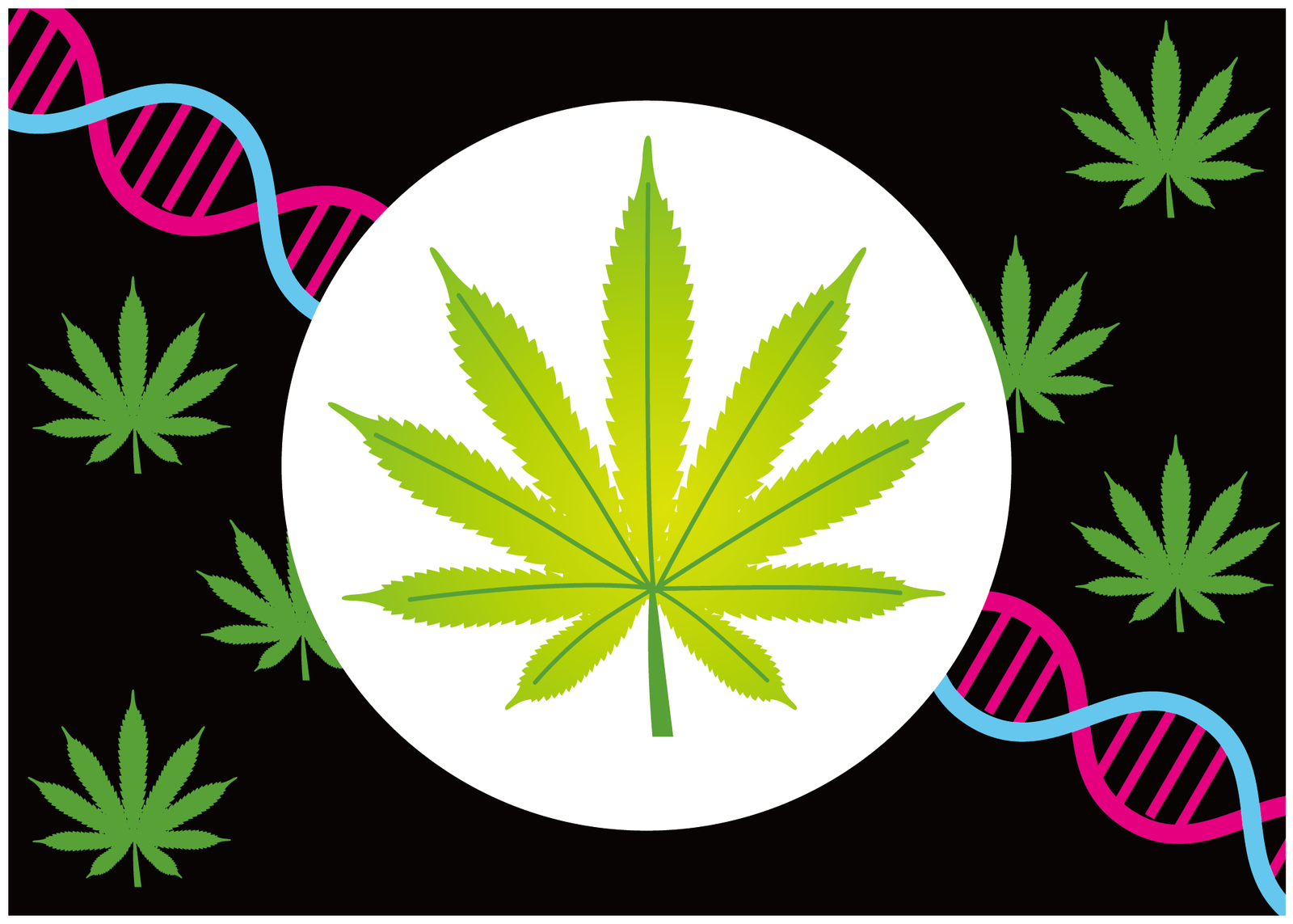 The smoke and mirrors of cannabis addiction