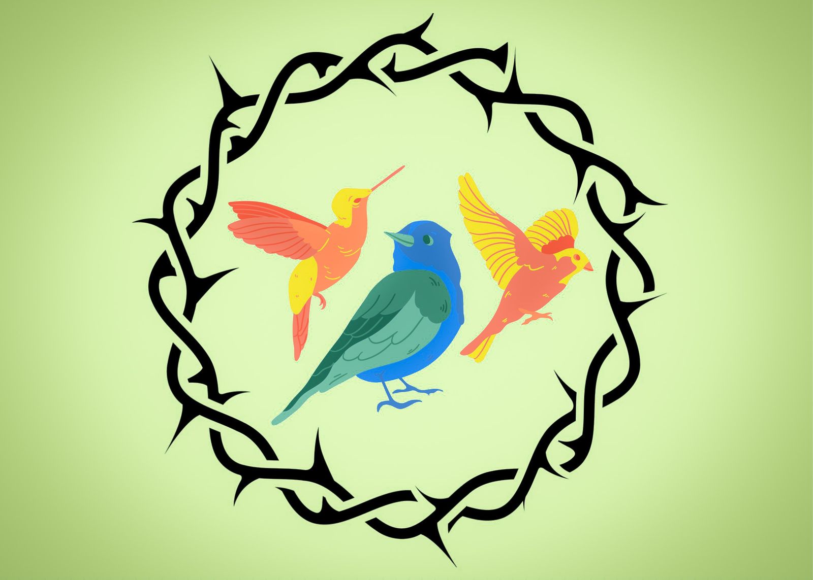 Urban birds rebel against hostile architecture