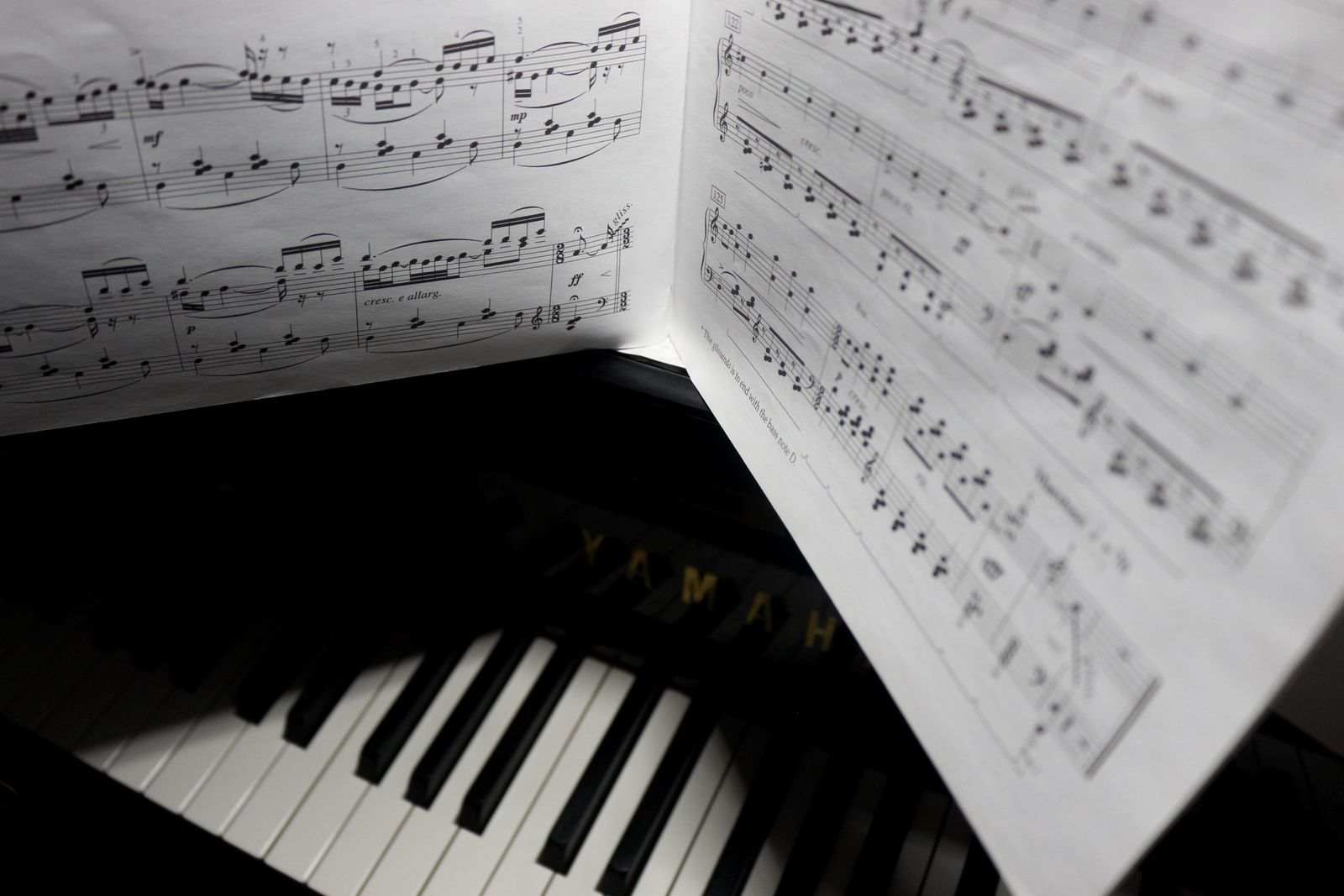 The poet behind the musician: Piano prodigy Kevin Chen’s homecoming