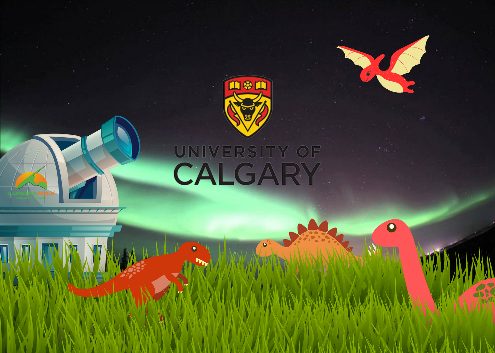 Chase the northern lights from the comfort of your home with AuroraMax