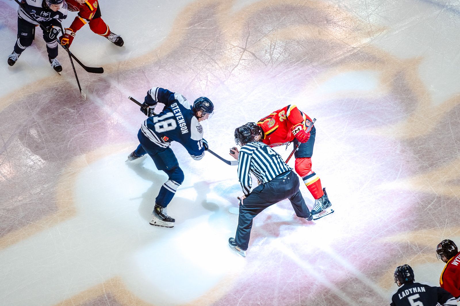 A Classic for the ages: Dinos sweep Cougars in front of record-breaking crowd