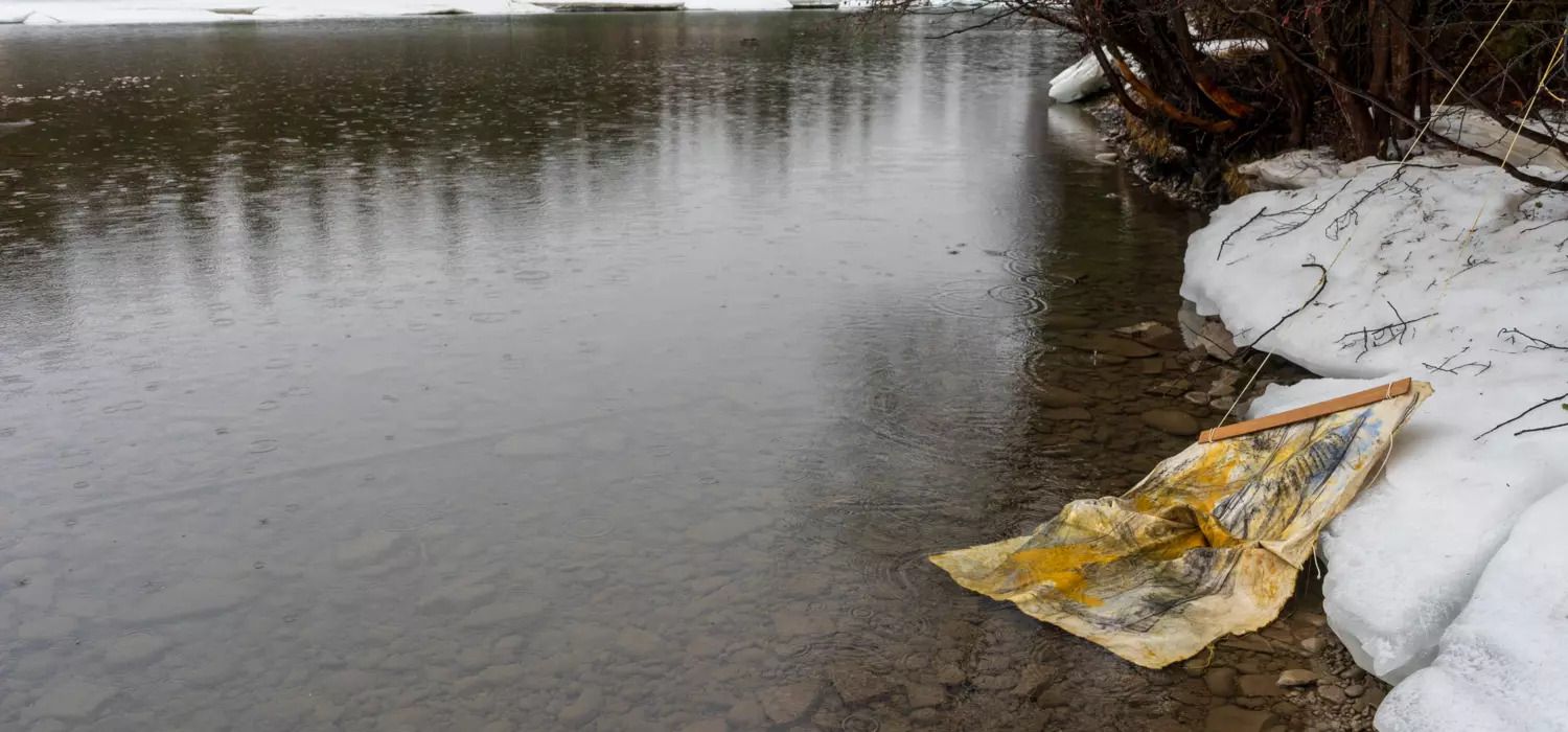 Highlights of Brackish: A transdisciplinary exploration of water