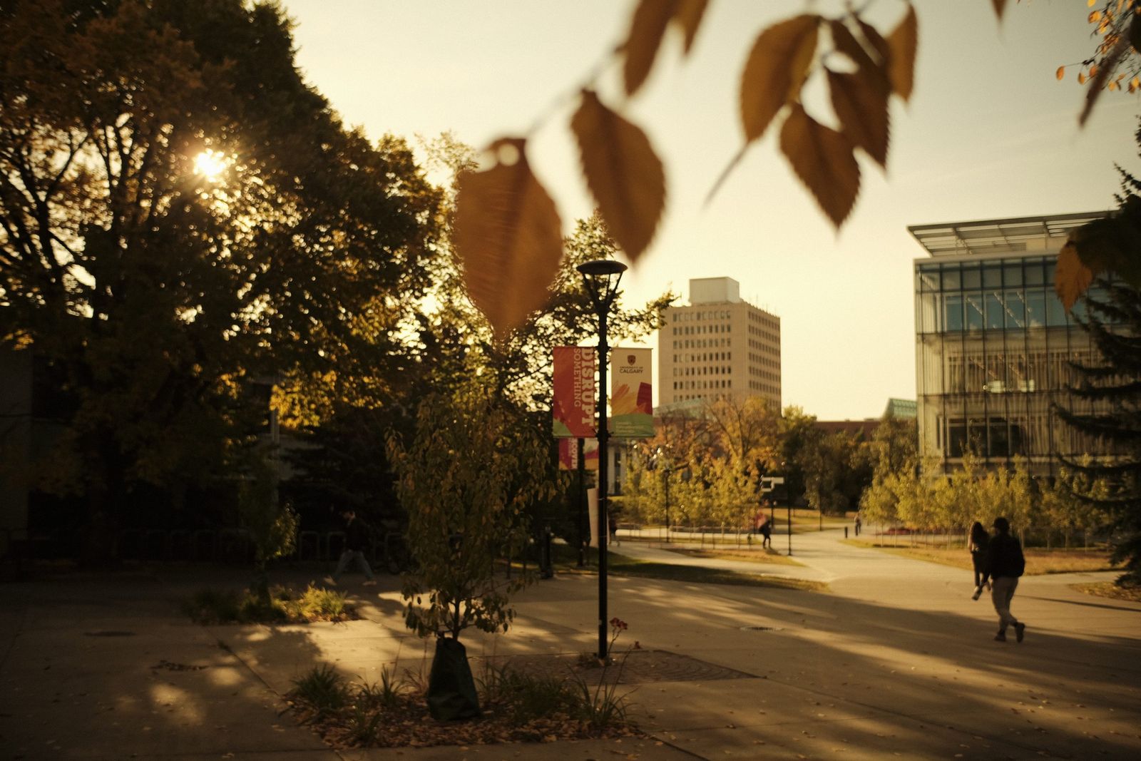 The culture of a commuter school