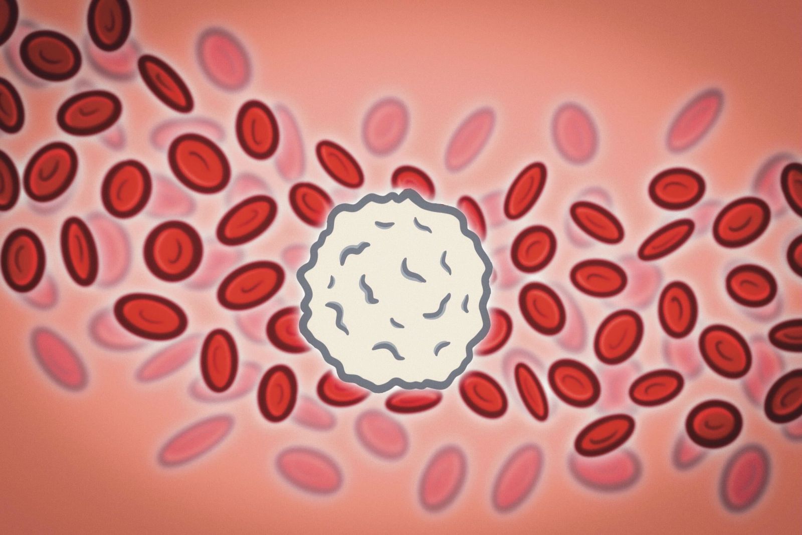 New evidence shows white blood cells can repair or fight during an infection