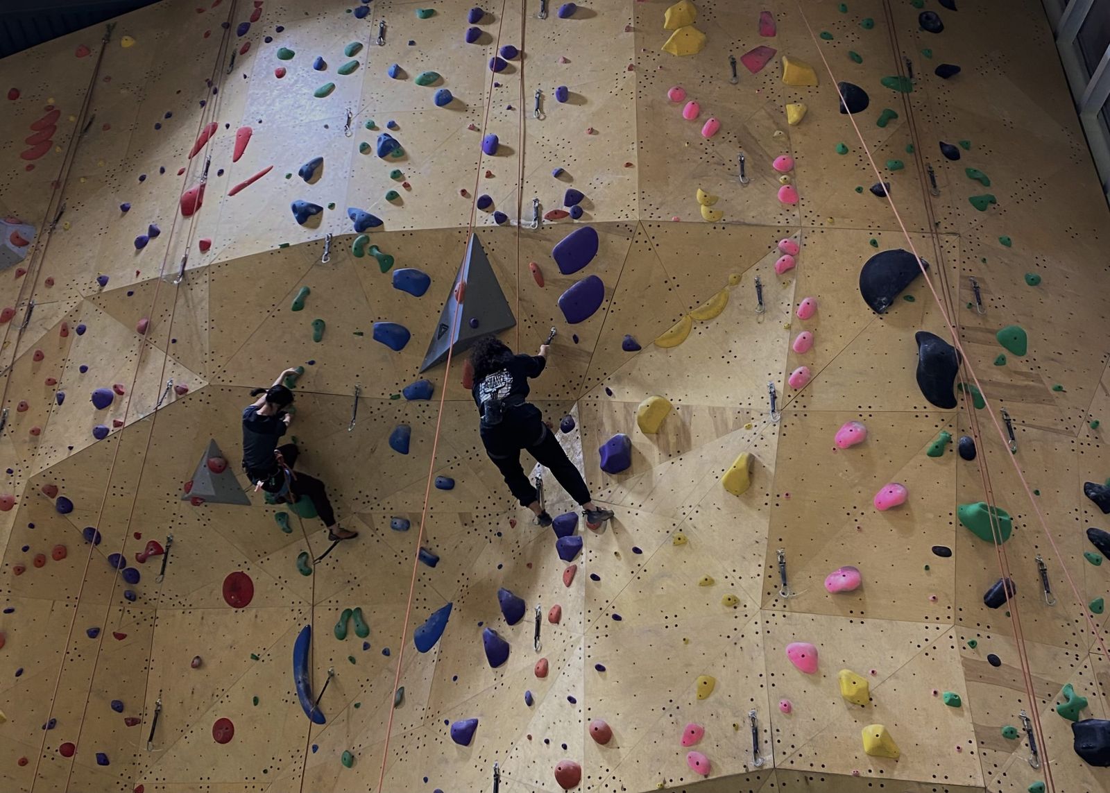 There should be a big rock in downtown Calgary and I should be allowed to climb it
