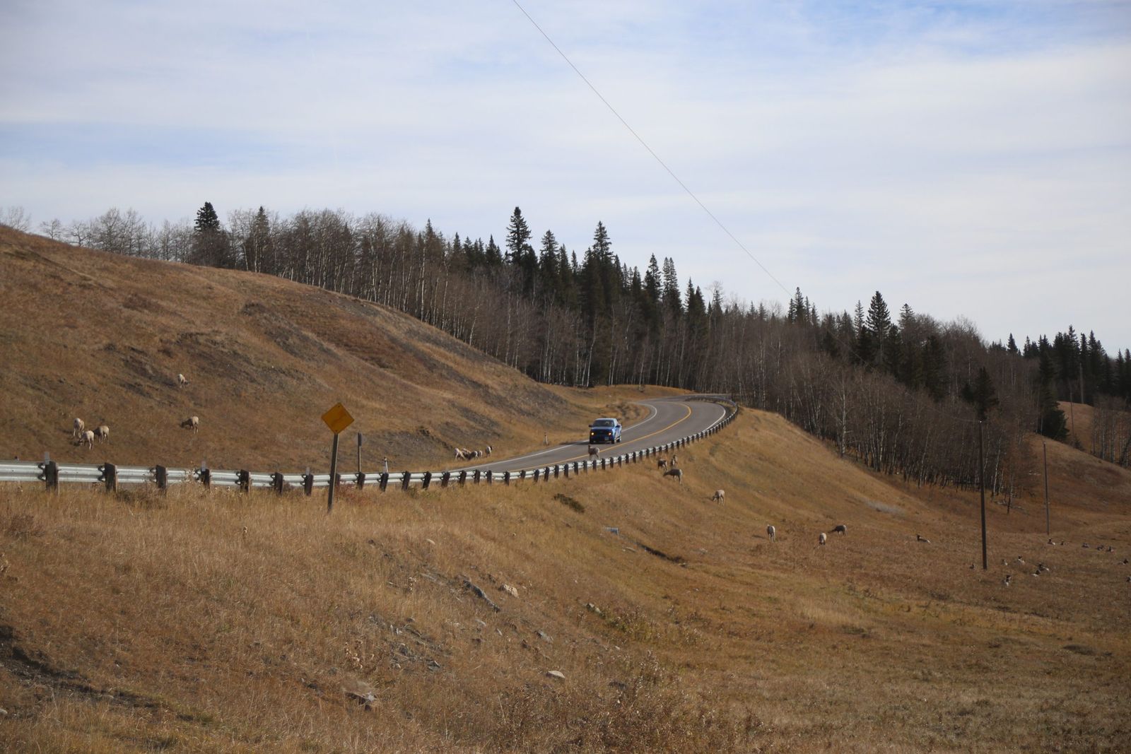 New Calgary-Banff rail project proposal raises concerns among conservation groups