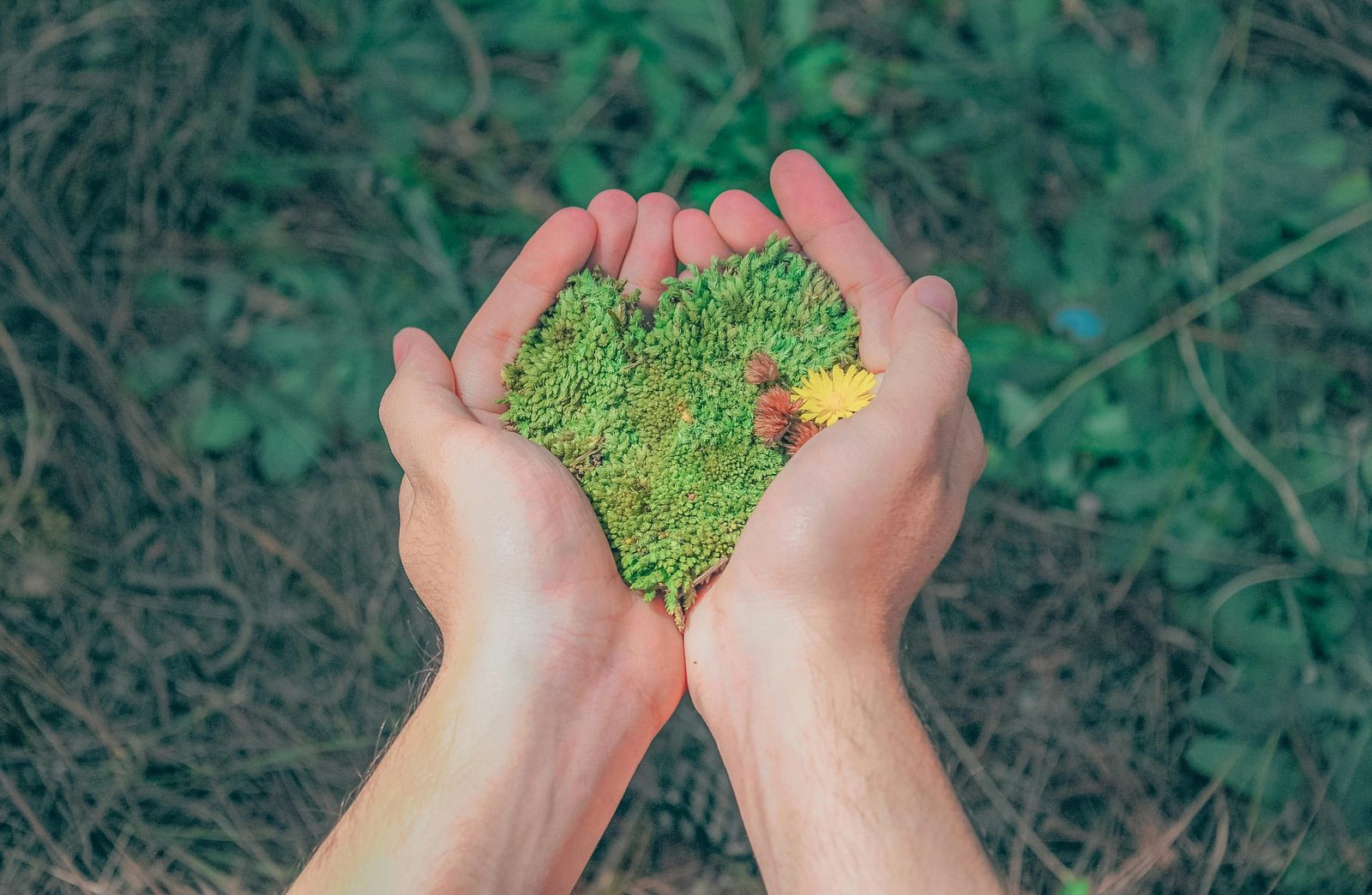Understanding climate despair with Olivia Vesovich