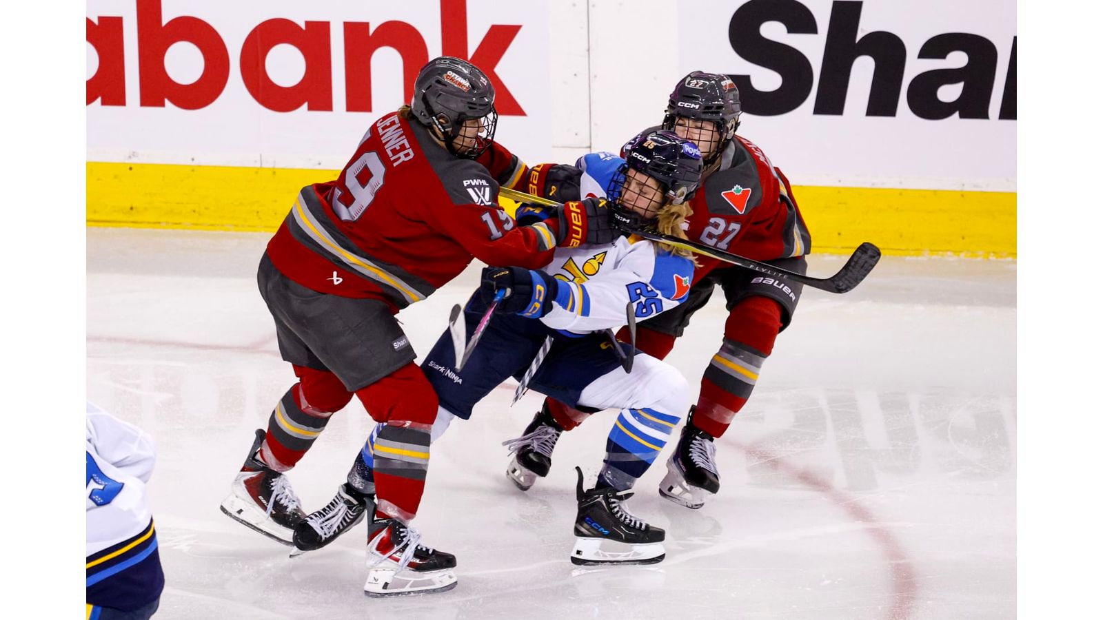The past and present of women’s hockey in Alberta