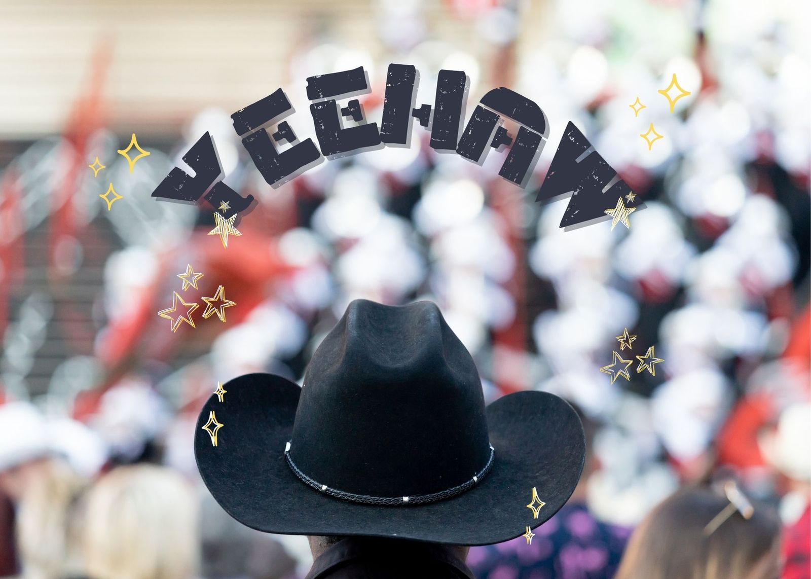 Discover the Hidden Gems of the Calgary Stampede
