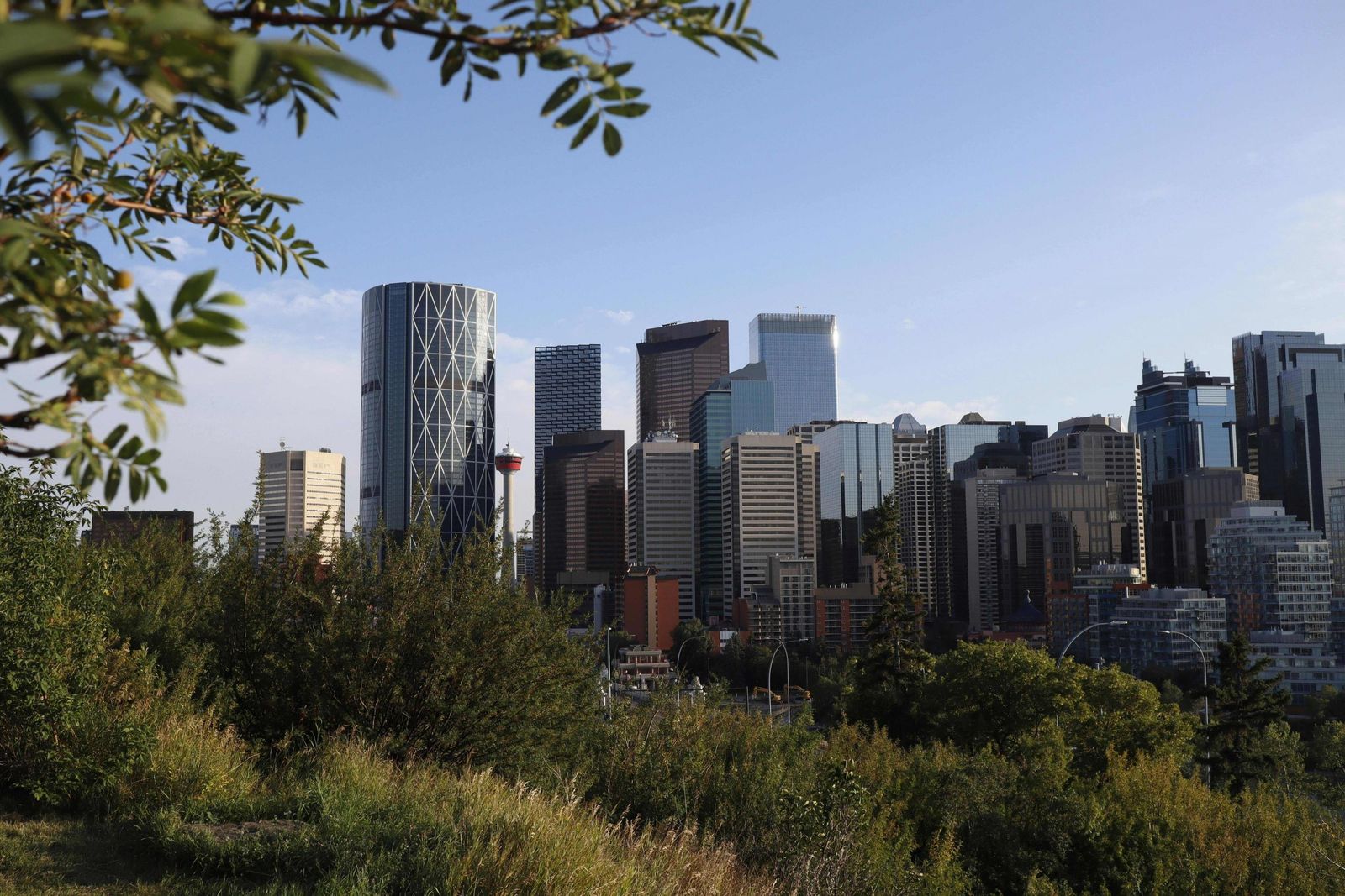 Calgary's political scene transforms with the first municipal party, A Better Calgary