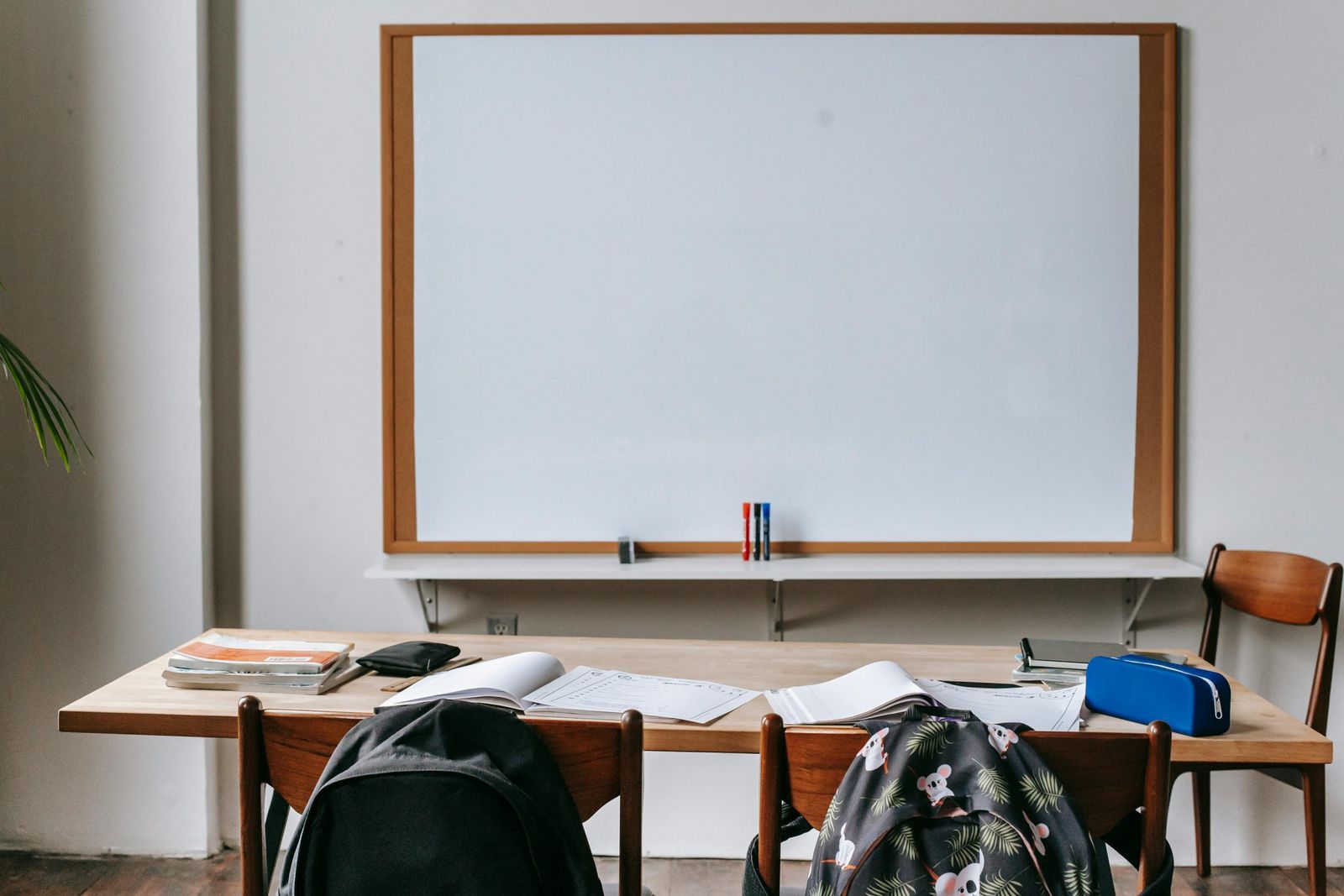 Building a supportive campus: UCalgary’s renewed mental health strategy