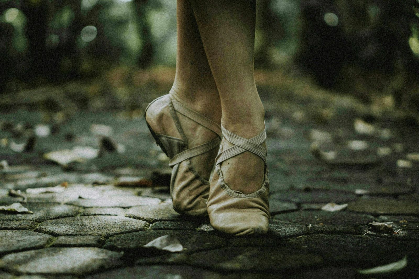 Ballet Bodies: In Motion III Review