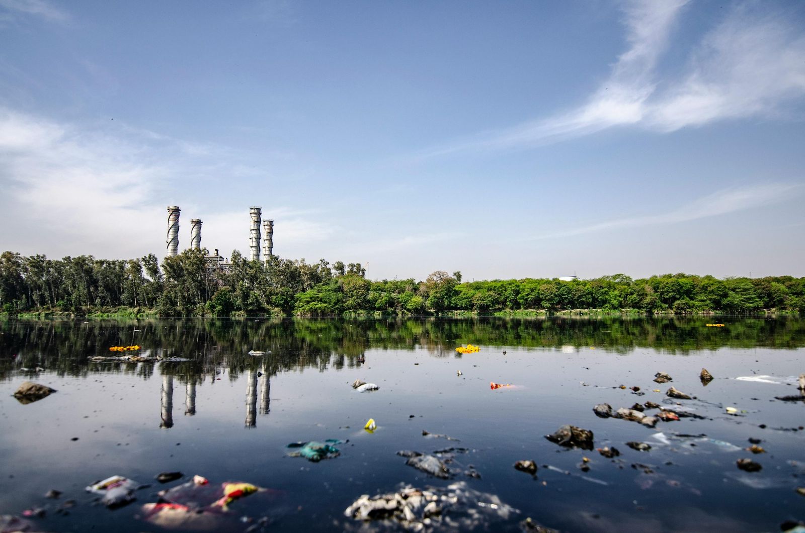 Drowning in eco-grief: The reckless path of Danielle Smith’s leadership