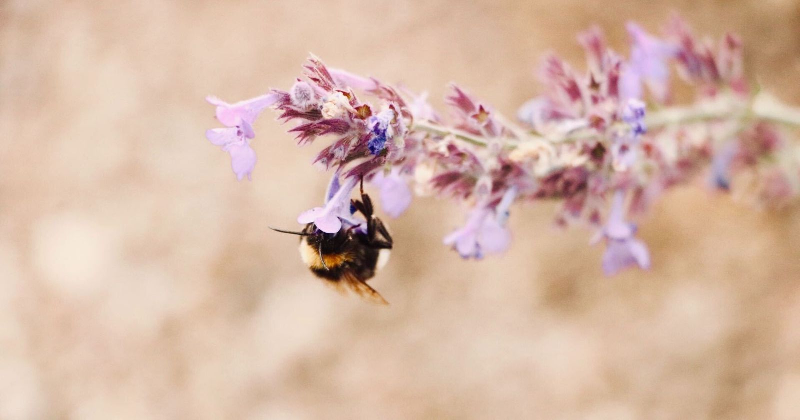 Visuals feature: Mackenzie Ashcroft