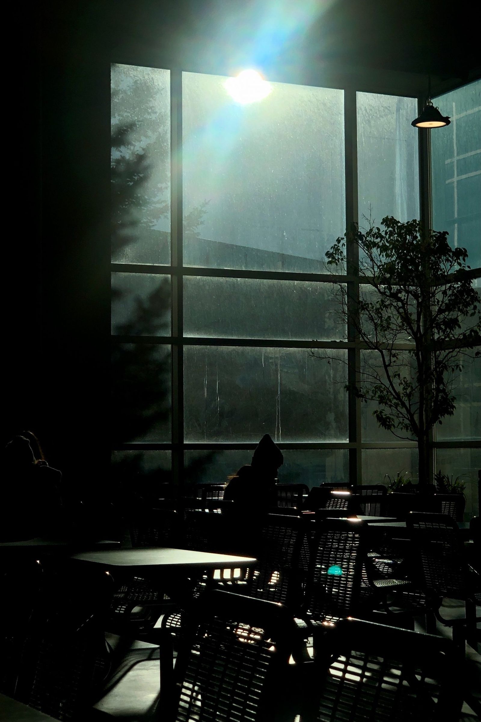 Visuals feature: Malea Nguyen