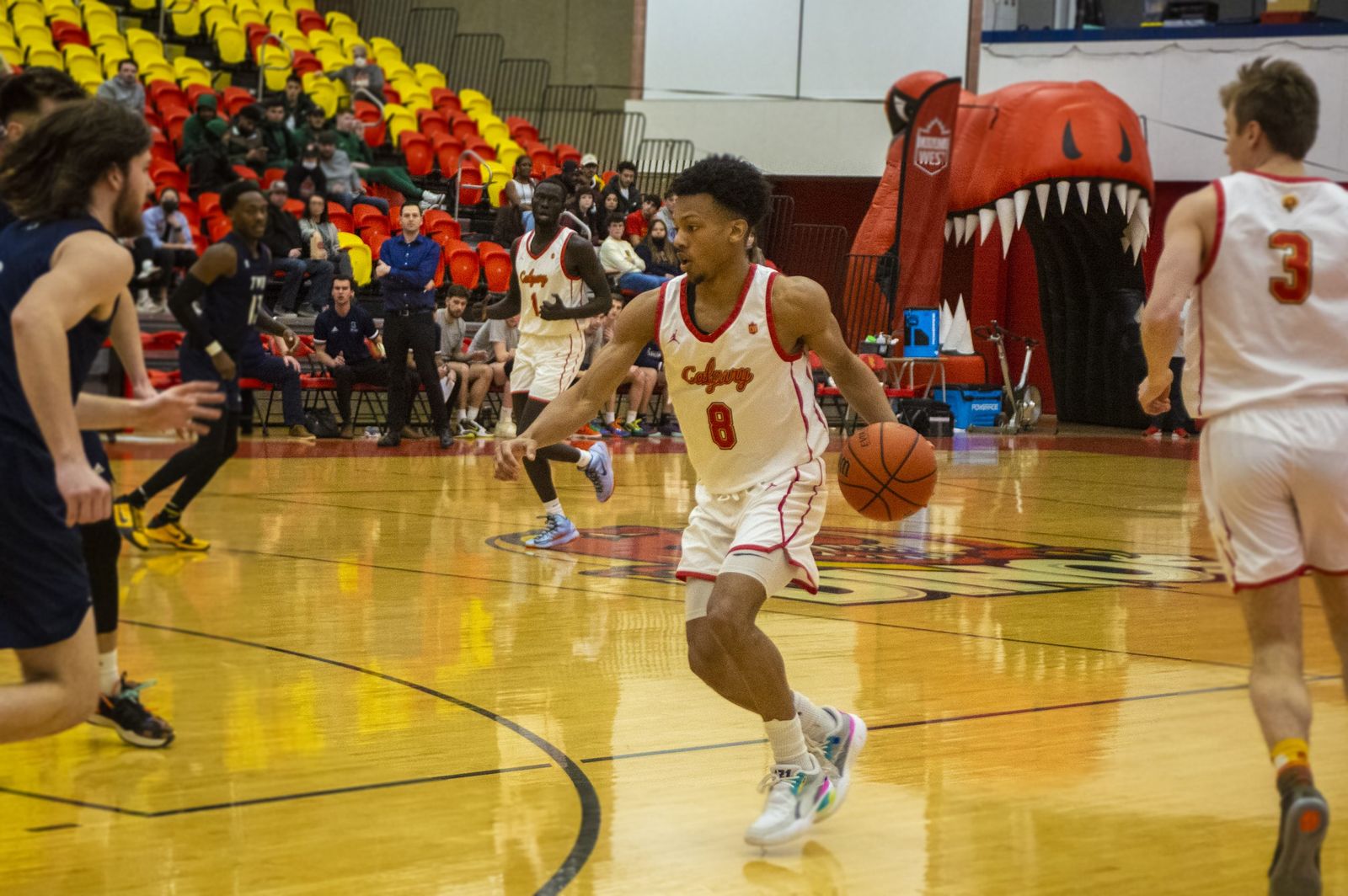 Dinos basketball team out in the first round