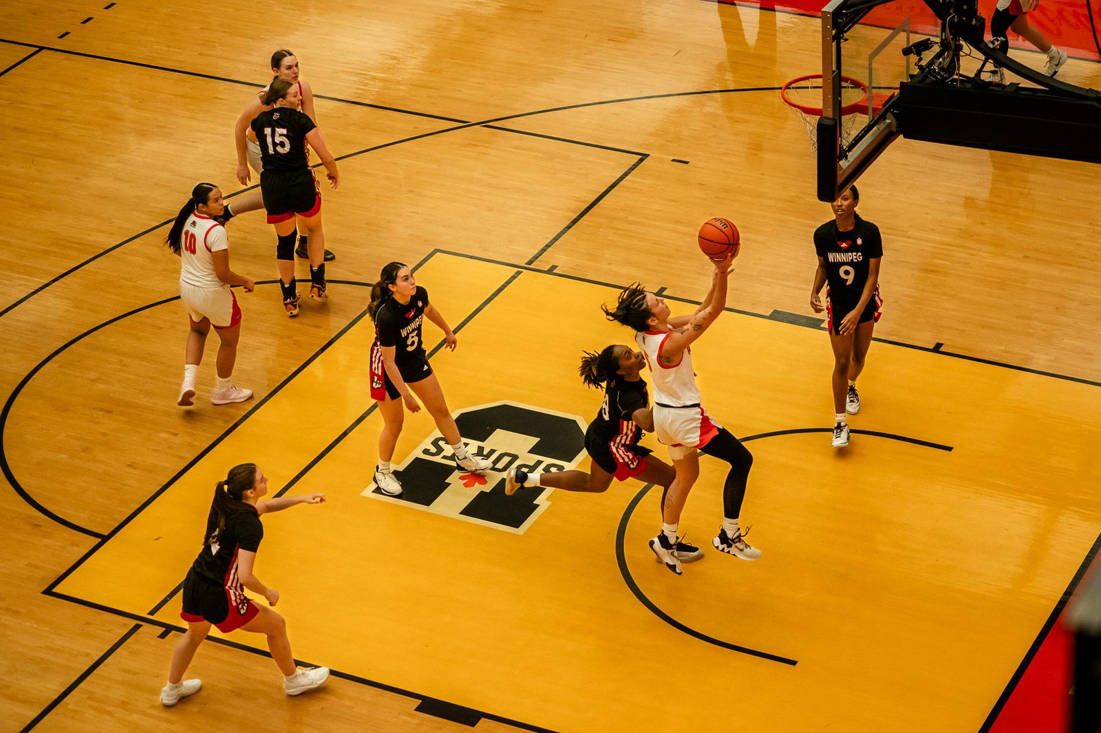 A tale of two Dinos: The lead-up to the U Sports Final 8