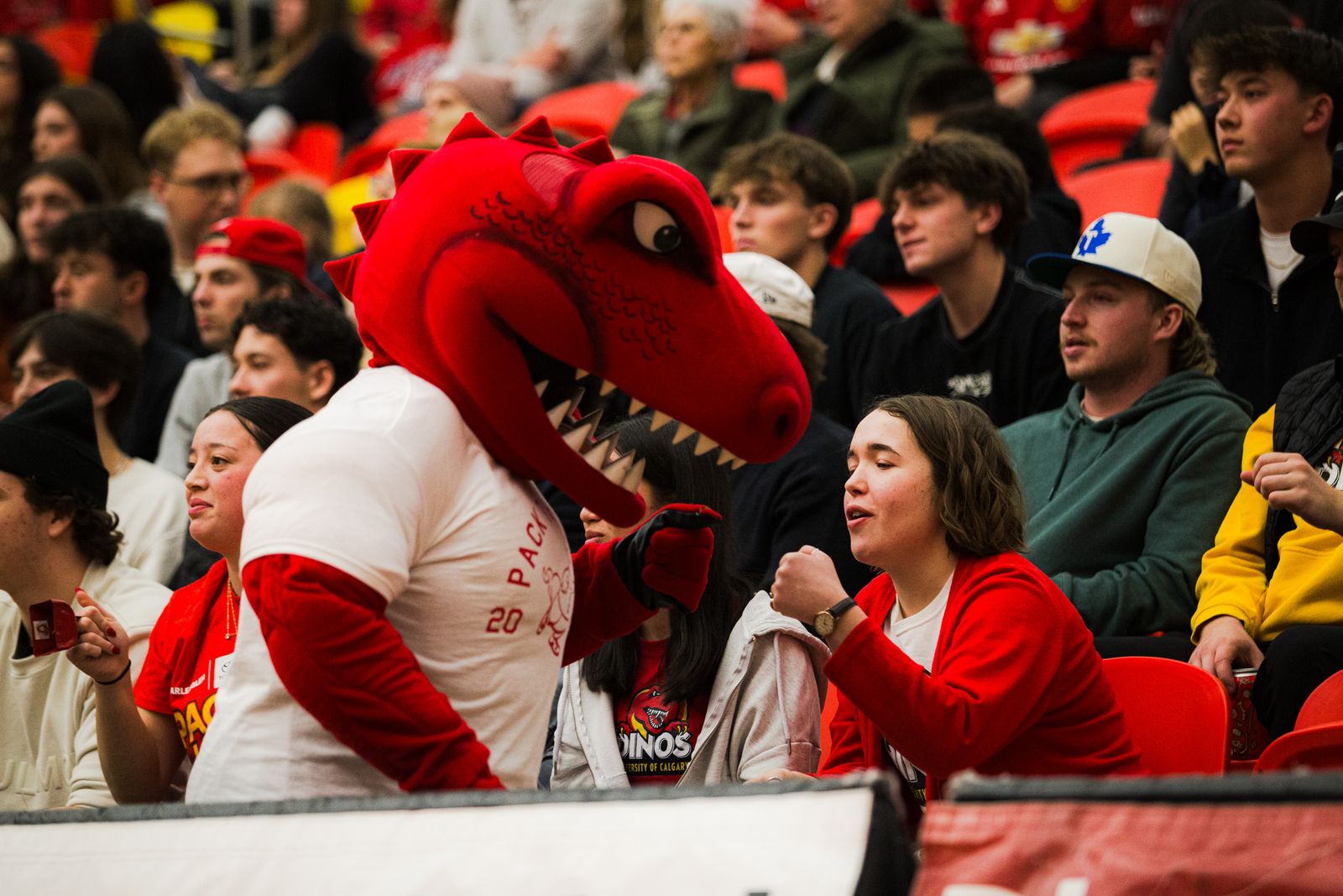 U SPORTS Men’s Basketball Final 8 Preview: Dinos take on the country