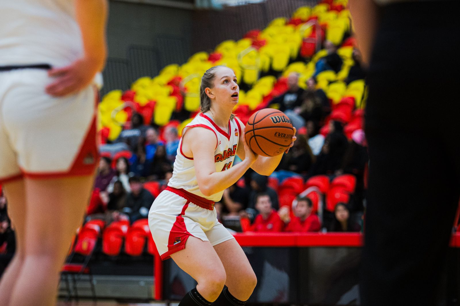 Teaching, tempo, and trust: Sarah Besselink’s blueprint for the Dinos