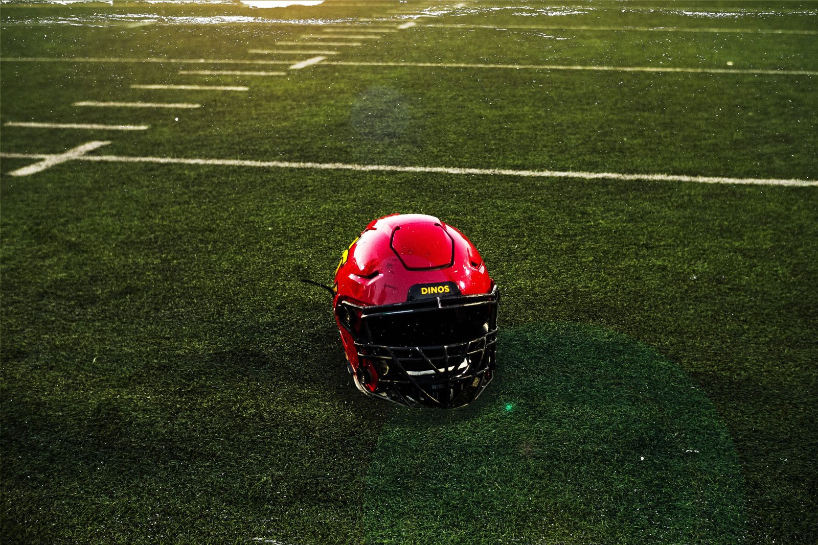 The Wayne Harris Era: Coach, father, inspiration