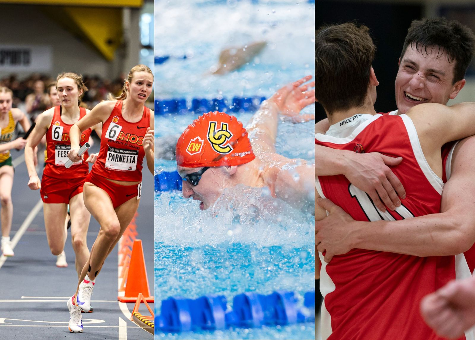 Dinos playoffs week 3: Dinos make waves in the pool, on the track and on the court