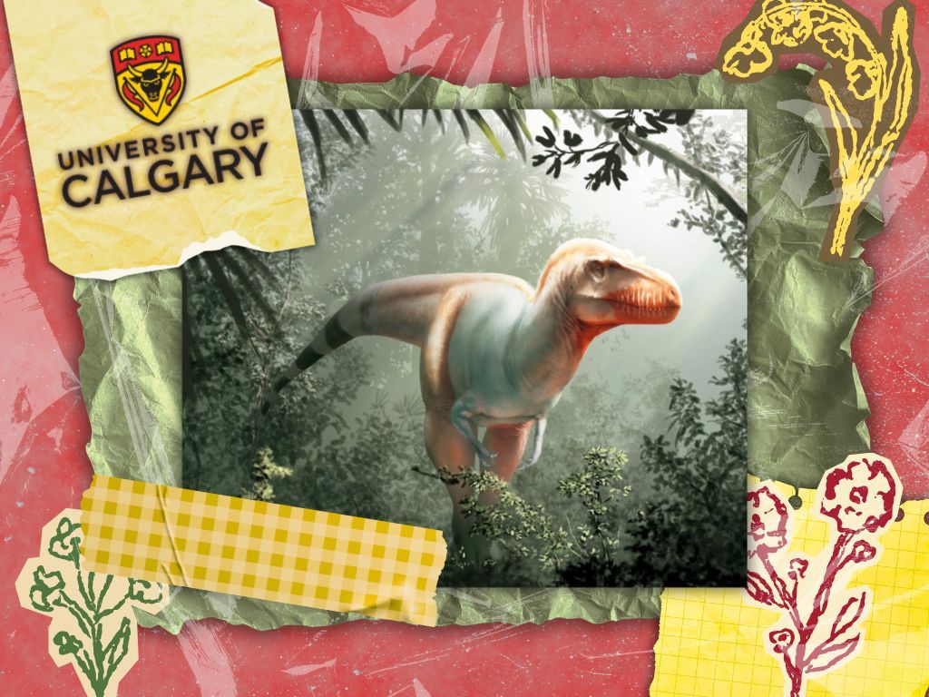 UCalgary's Jared Voris and the “Reaper of Death”