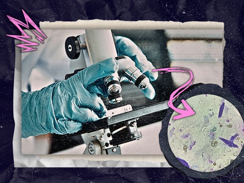Peering through the microscope with The Host-Parasite Interactions group and their initiatives