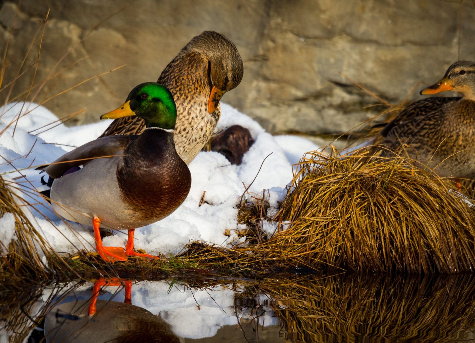 Spring is here feature: Eric Hilbrecht