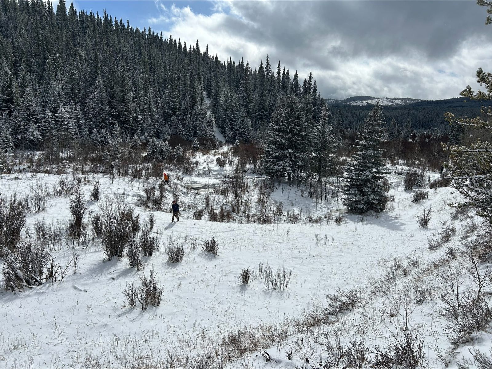 Fish and Wildlife Club offers educational outdoor experience