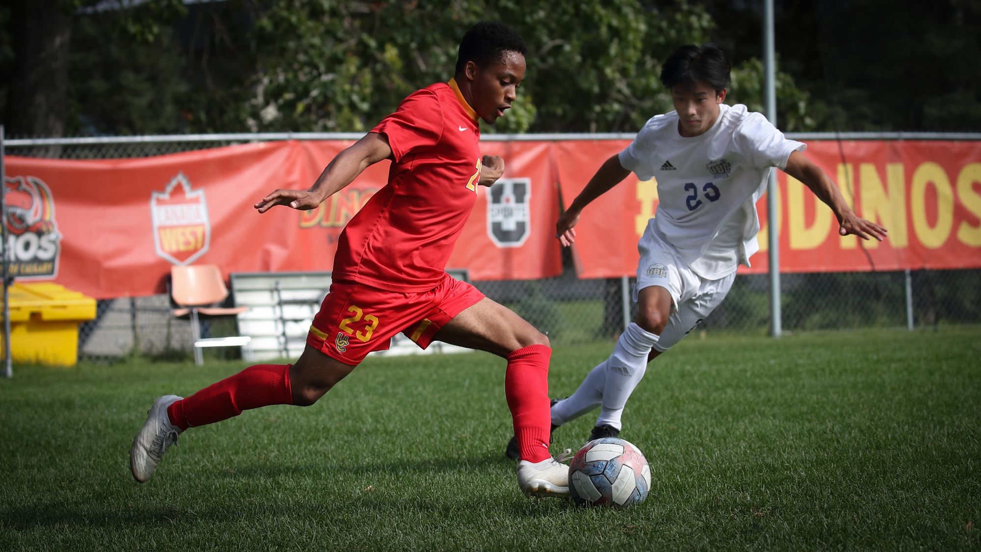 Dinos soccer team bet on the future