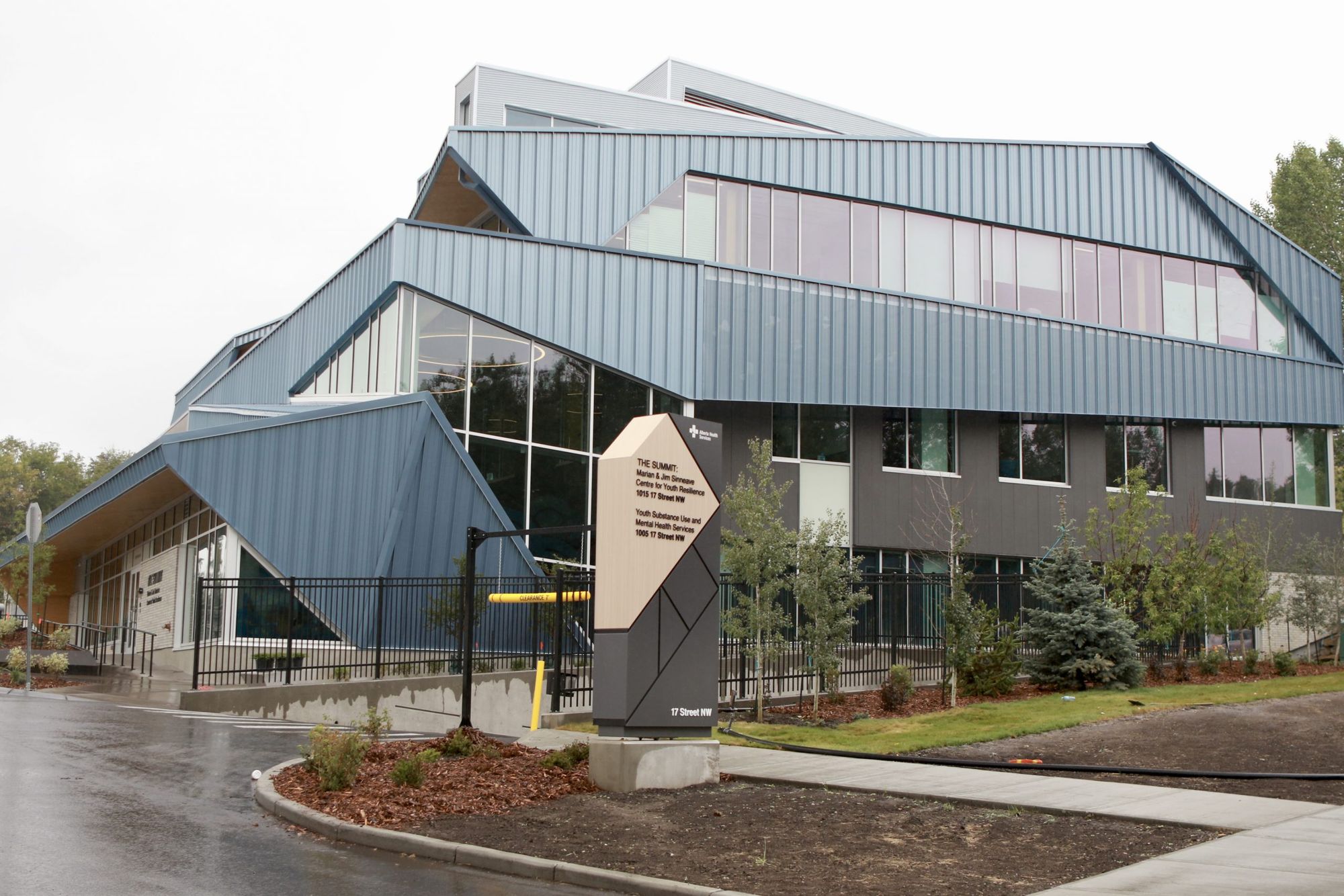 The Summit: A partnership between researchers, clinicians and youth