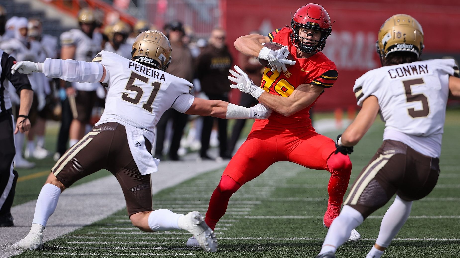 Dinos robbed of a win against Bisons