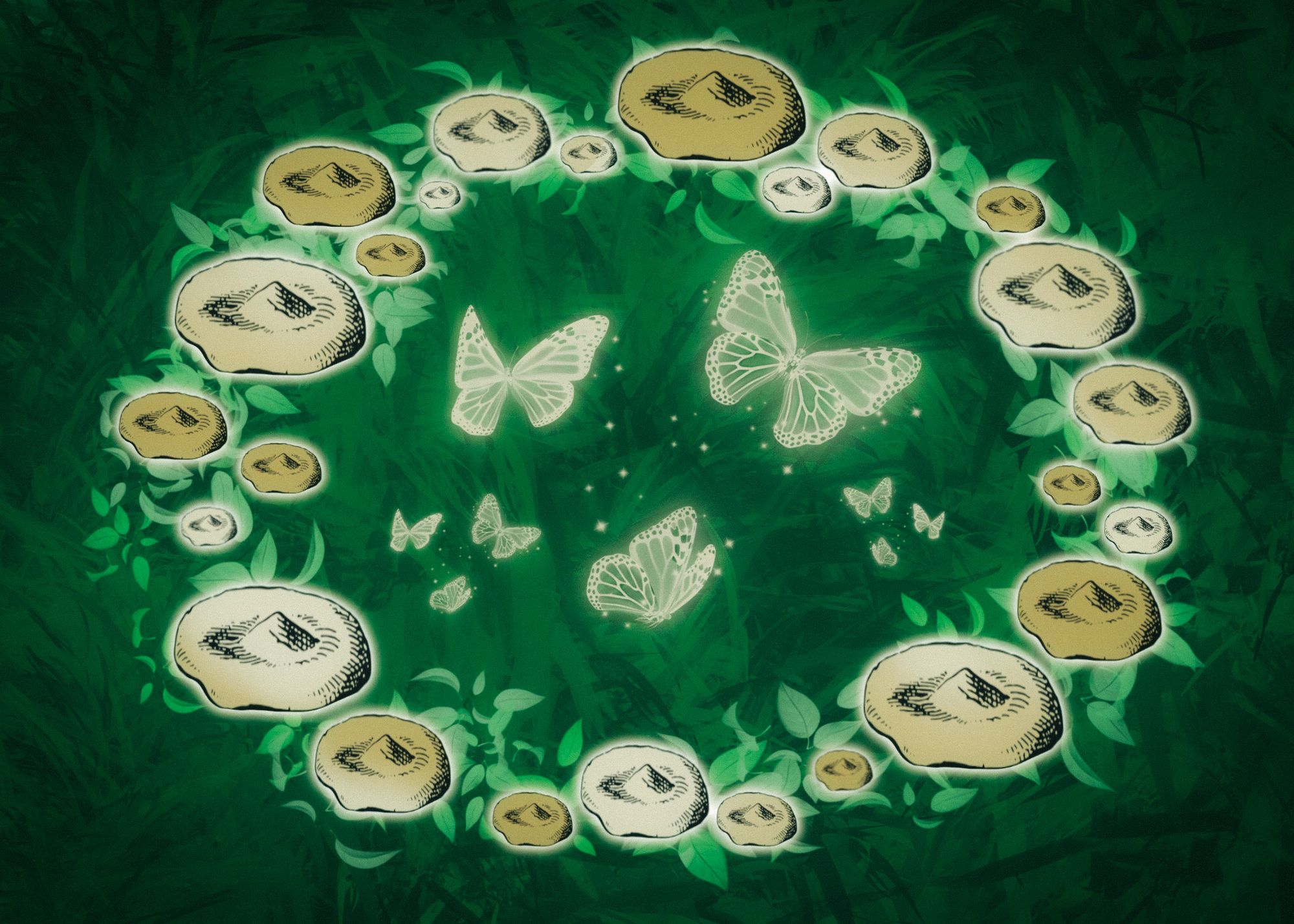 Fairy circles might not be as elusive as once thought