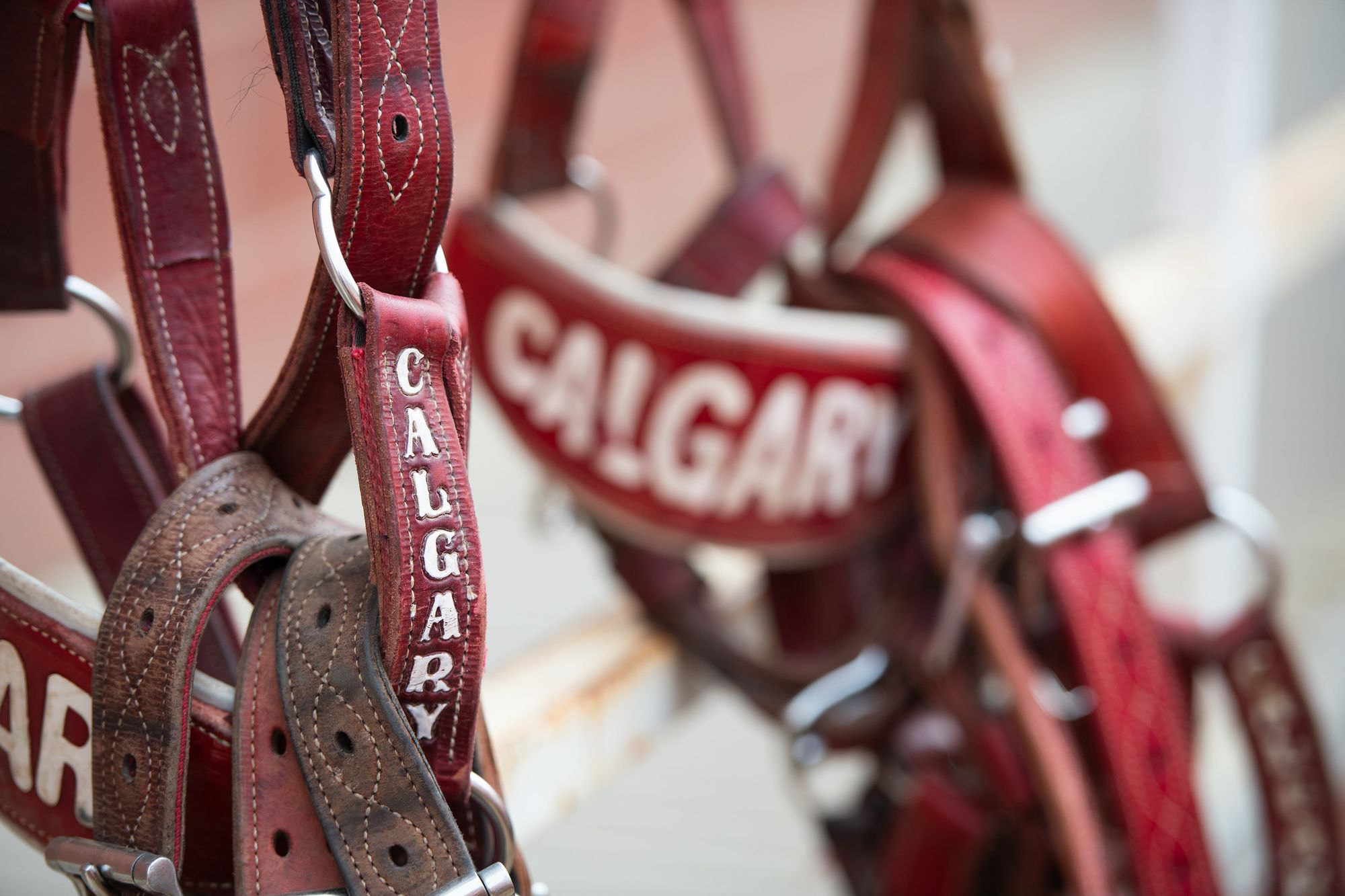 The evolution of rodeo: from ranching traditions to professional athletes