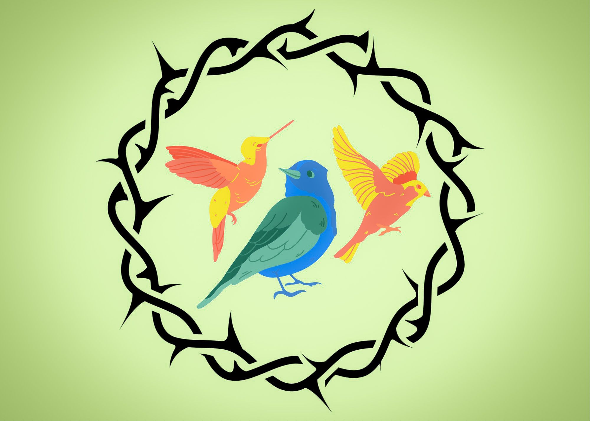 Urban birds rebel against hostile architecture